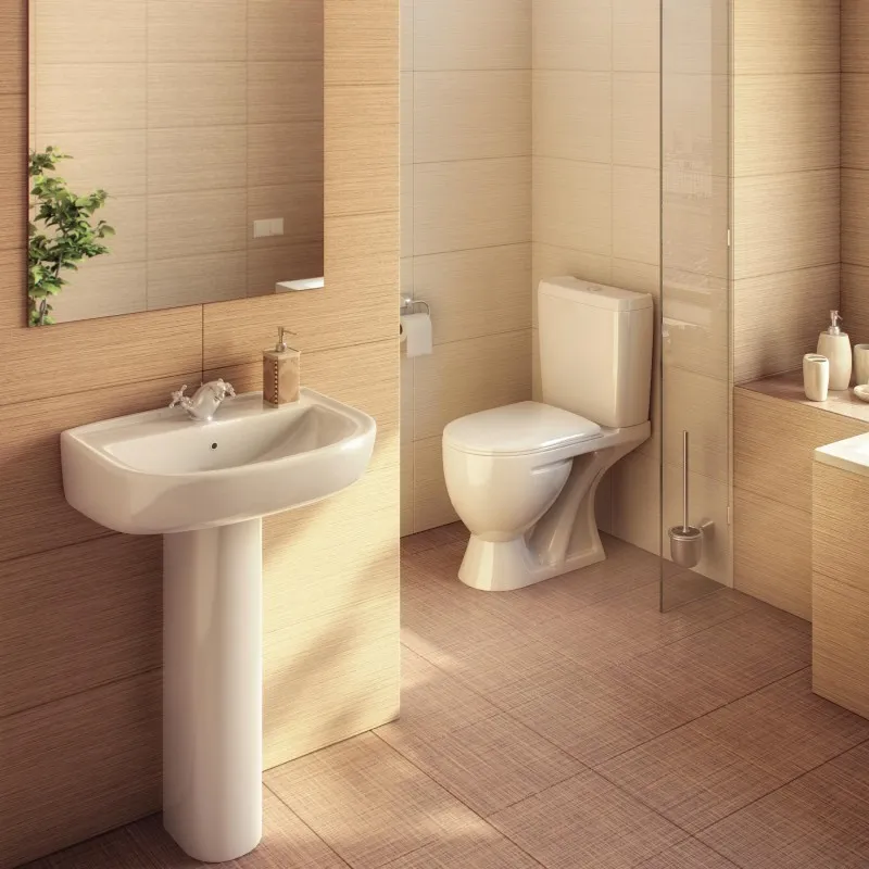 Унитаз-компакт Rosa Ресса белый (3)