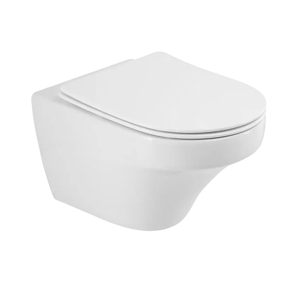 Унитаз подвесной Cezares-DUET CZR-2462-TH-TOR