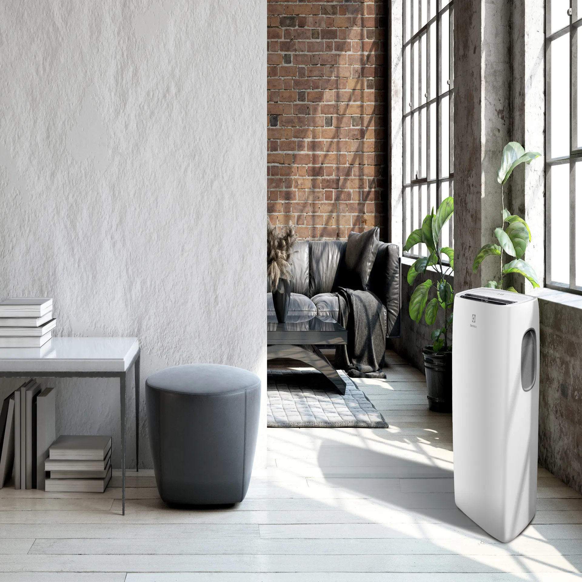 Electrolux ЕАСМ-8 CLN3 (5)