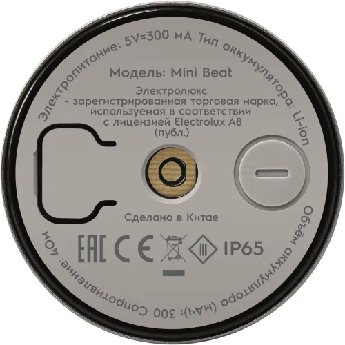 Колонка беспроводная Electrolux Mini Beat (4)