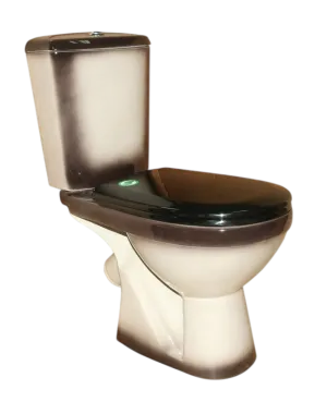 Унитаз-компакт Rosa-Комфорт Чёрный декор