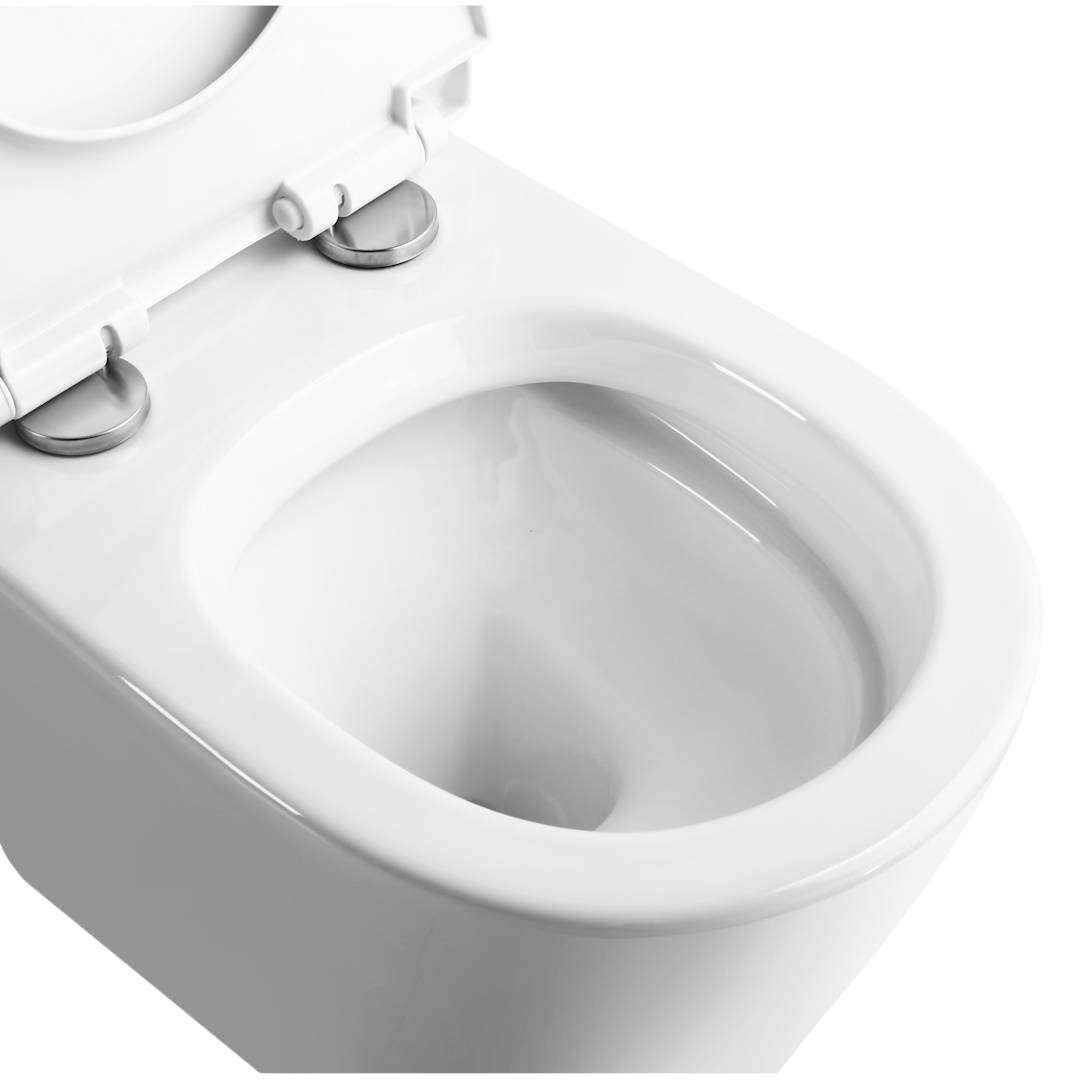 Унитаз подвесной Watersense Rita Pro W00123 (3)