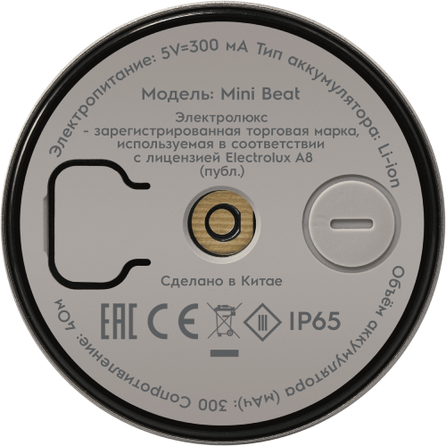 Колонка беспроводная Electrolux Mini Beat (4)